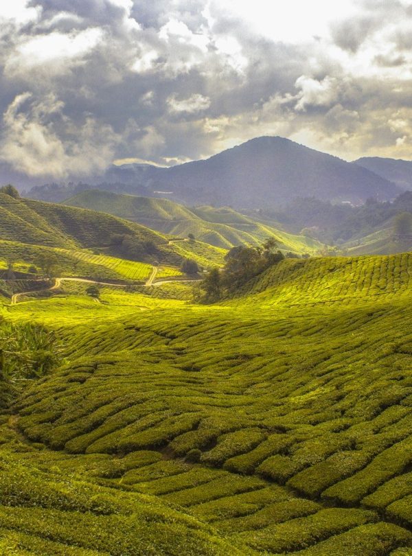 landscape photography of mountain